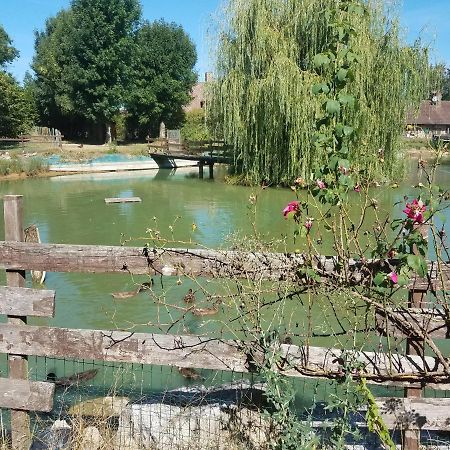 Ferme Bressane Les Arums Mervans Екстер'єр фото